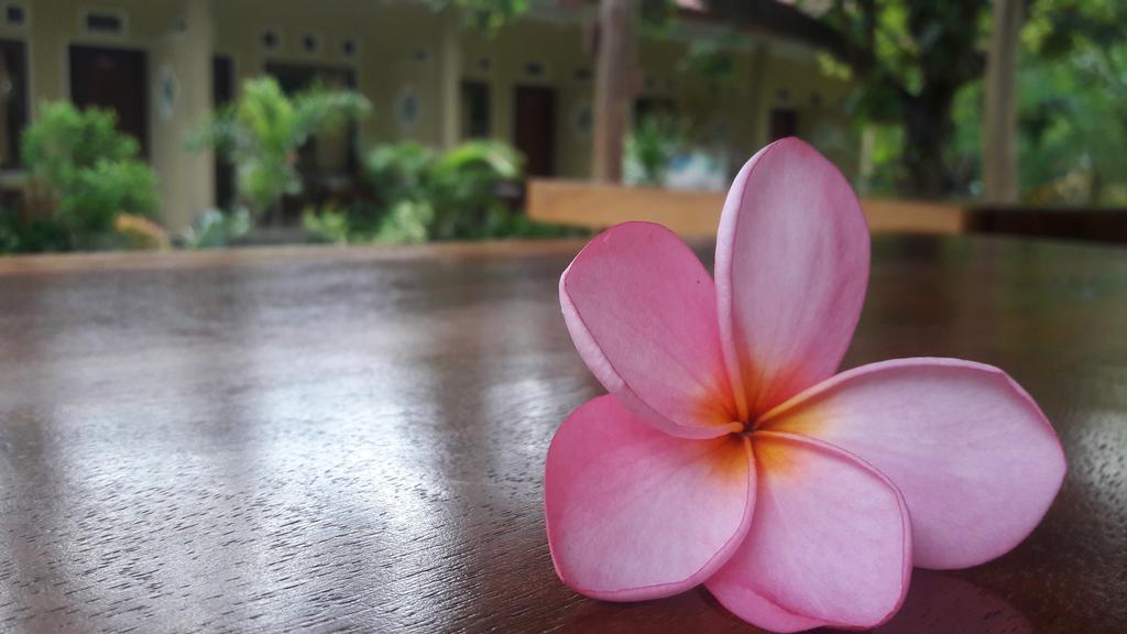 Imelda Homestay Homestay
